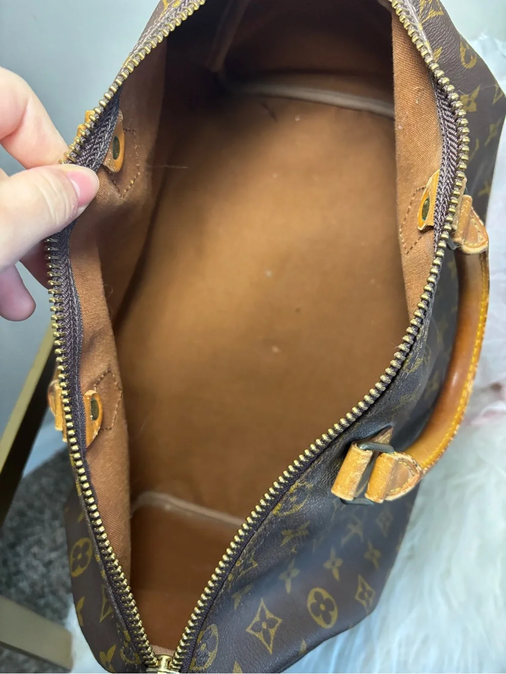 Louis Vuitton Monogram Canvas Speedy Handbag - Brown/Tan